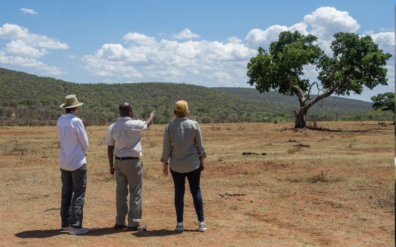Guests on a guided nature walk focusing on mindfulness and connection with the landscape.