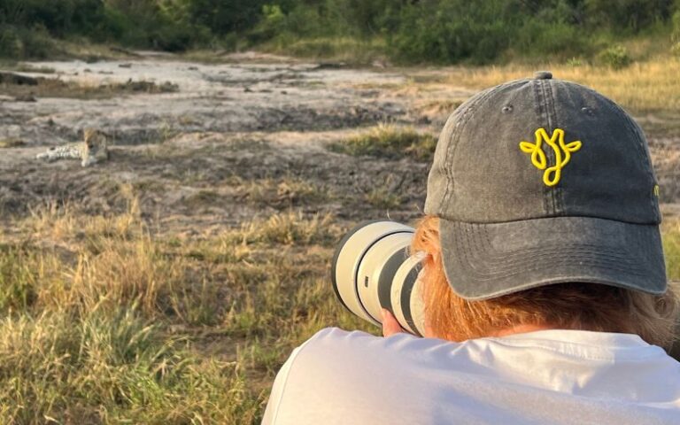 Photographer capturing a leopard in the wild during a wildlife photography safari in South Africa