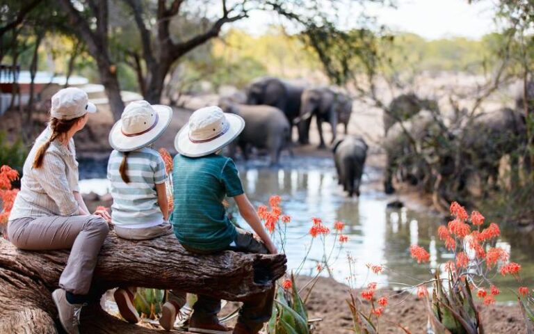 Is the Kruger National park safe for kids. Yes it is.