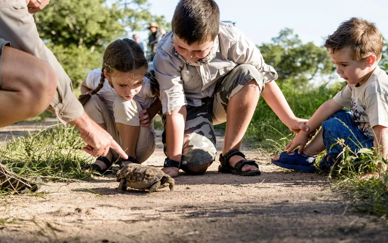 Children learning about nature with a ranger in the Kruger National Park, showing how guided activities make the Kruger National Park safe for kids.