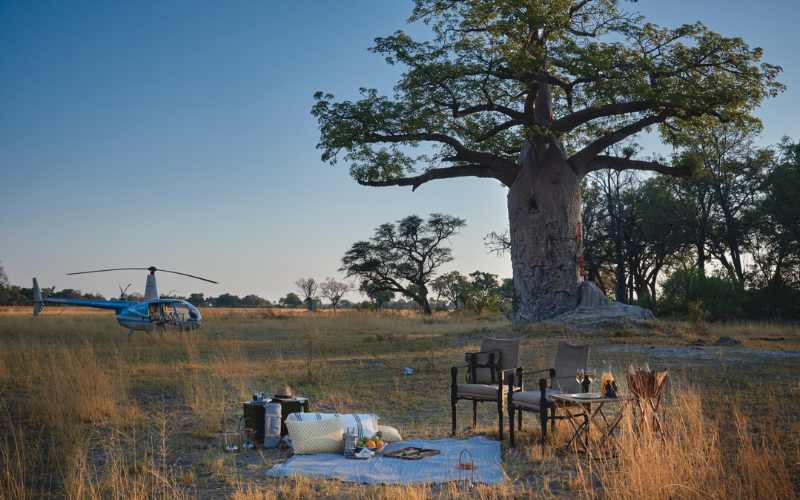 Luxury helicopter safari picnic set beneath a baobab tree, highlighting exclusive experiences shaping today’s luxury safari trends.
