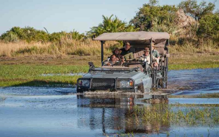 Botswana safari cost is expensive when you go on private safaris driving through the Okavango Delta when the delta is in flood.