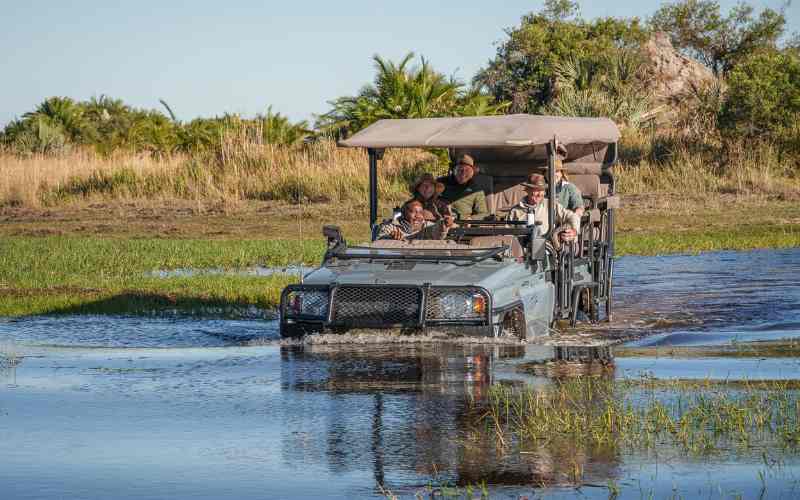 Botswana safari cost is expensive when you go on private safaris driving through the Okavango Delta when the delta is in flood.