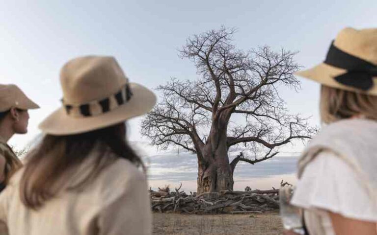 Best time to visit Botswana