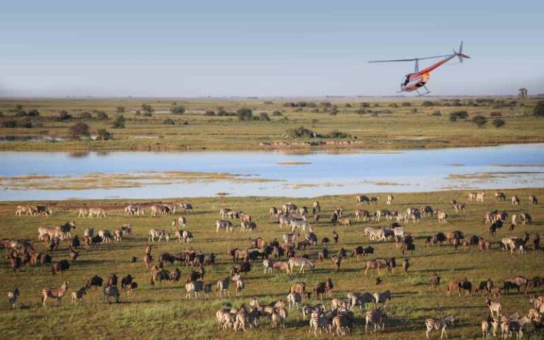 Botswana Travel Bucket List. Helcipoter over the great herds.